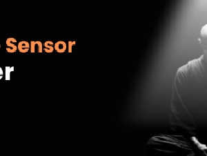 Wi-Fi True Presence Sensor in India 