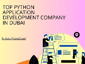 Best Web App Development Company in Dubai| ToXSL Technologies